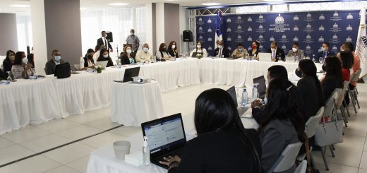 Vista en el encuentro en el que participaron diferentes instituciones en reunión organizada por el Ministerio de Industria, Comercio y Mipymes (MICM).