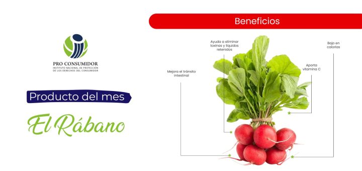 Alimento del Mes El Rábano #